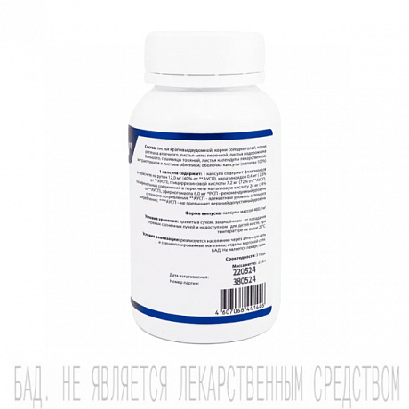 Регесол Complex SW, таблетки, 60 шт. Изображение 3 из 3